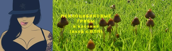 a pvp Богородицк