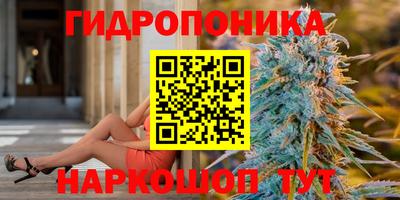 индика Ликино-Дулёво