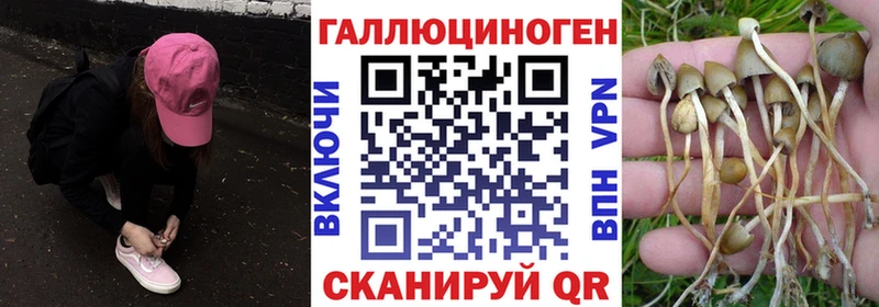 купить Гай Галлюциногенные грибы мицелий