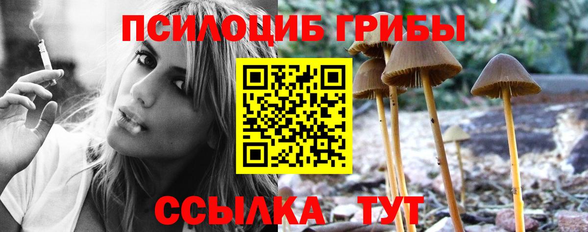 купить   Псилоцибиновые грибы Magic Shrooms  Вход с VPN  Гай  Псилоцибиновые грибы ЛСД 