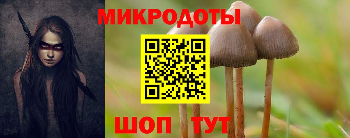 Галлюциногенные грибы ЛСД Гай